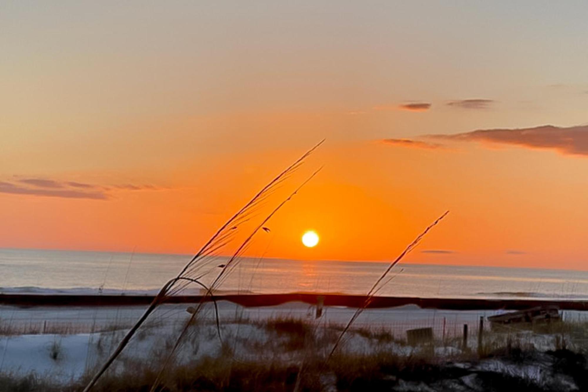 Dunes Of Panama Condos Panama City Beach Rum bild